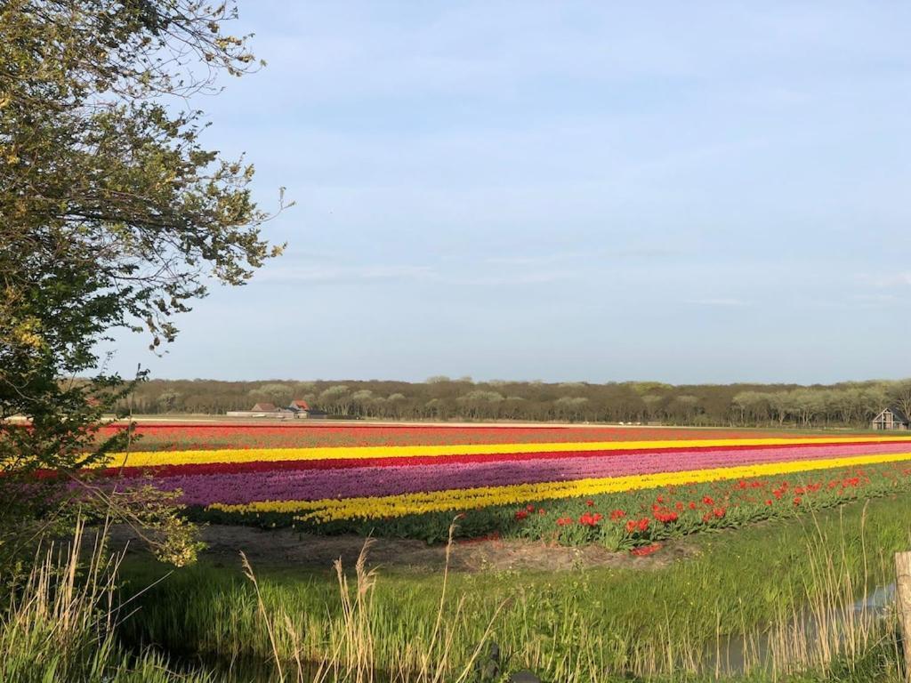 Meno Mosso Villa Sint Maartensvlotbrug ภายนอก รูปภาพ